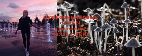 прущая мука Тихвин