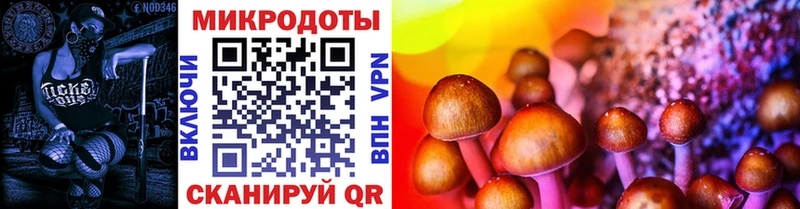 Псилоцибиновые грибы Psilocybe  купить   Ноябрьск 